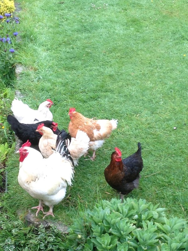 Headgate Farm B&B