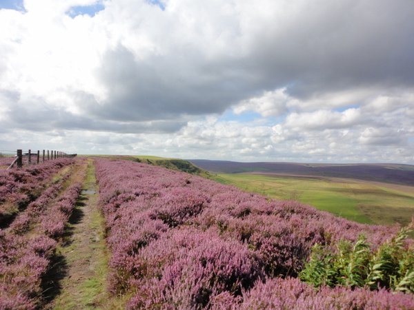 High Rigg B&B