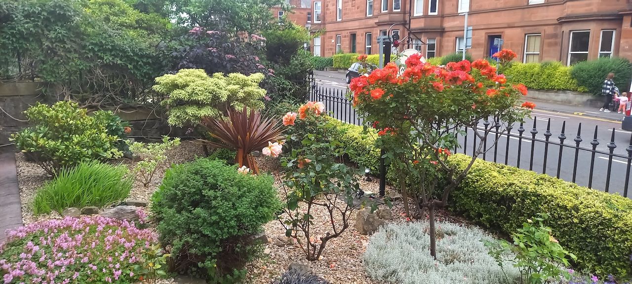 Highfield Guest House