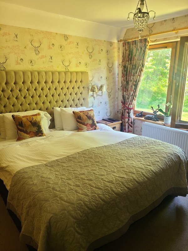 Highland Bear Lodge