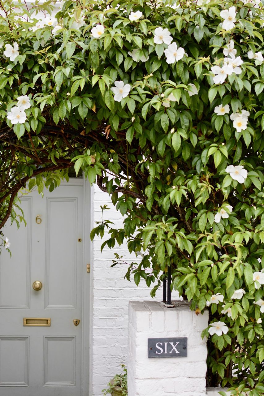 Hurlingham Bed and Breakfast