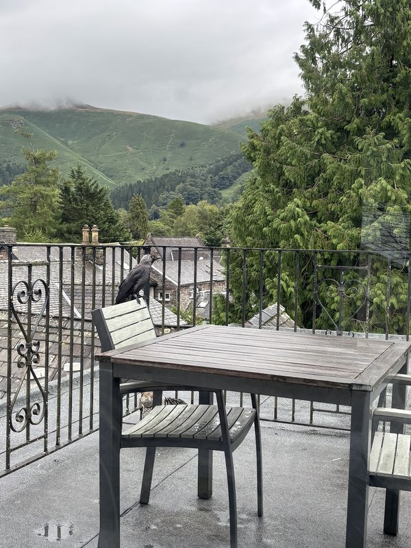 Jacksons CafeBar & Guesthouse