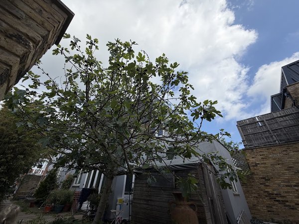 Kew B&B