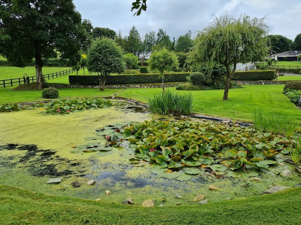 Kings Farm