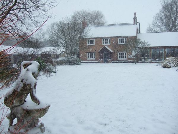 Lime Trees Farm