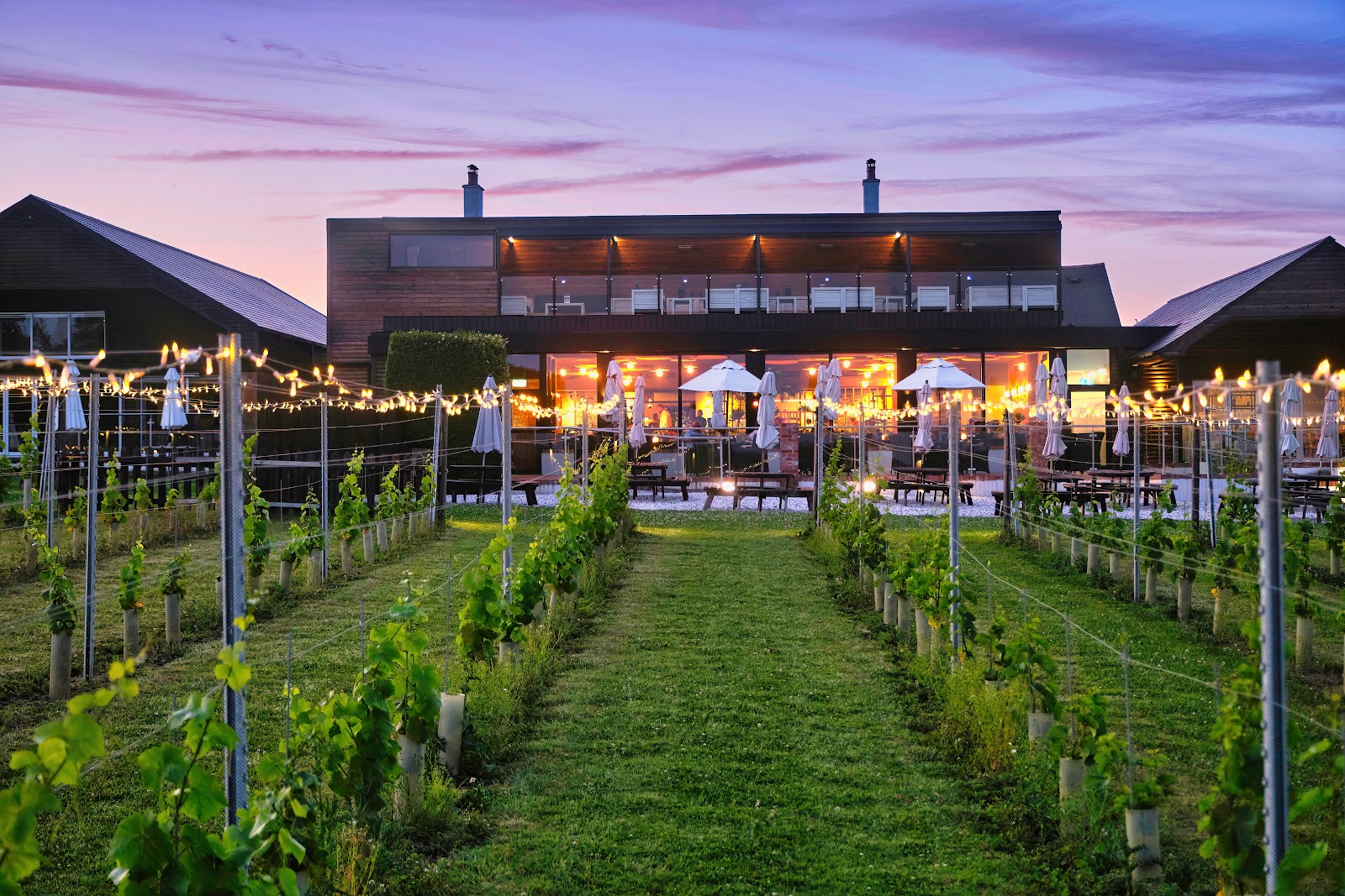 Llanerch Vineyard