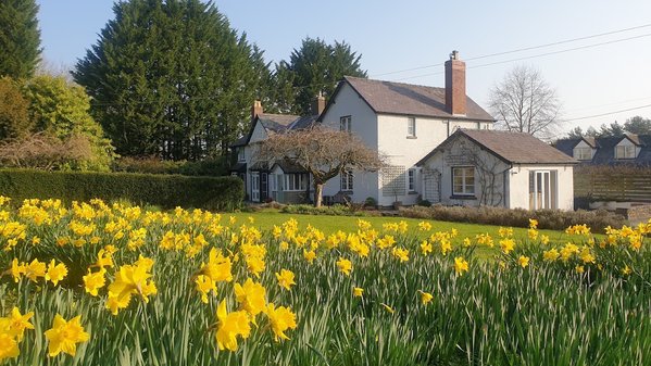 Lower House B&B Adforton