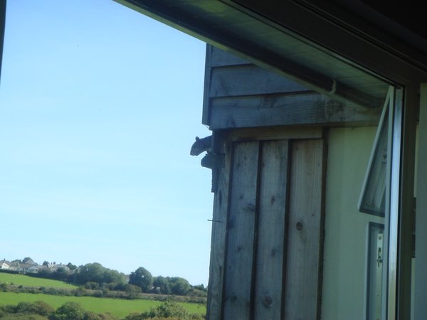 Manian Lodge - Guest House