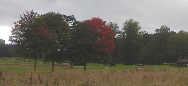 Matfen Hall