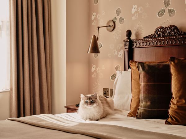 Morton Hotel