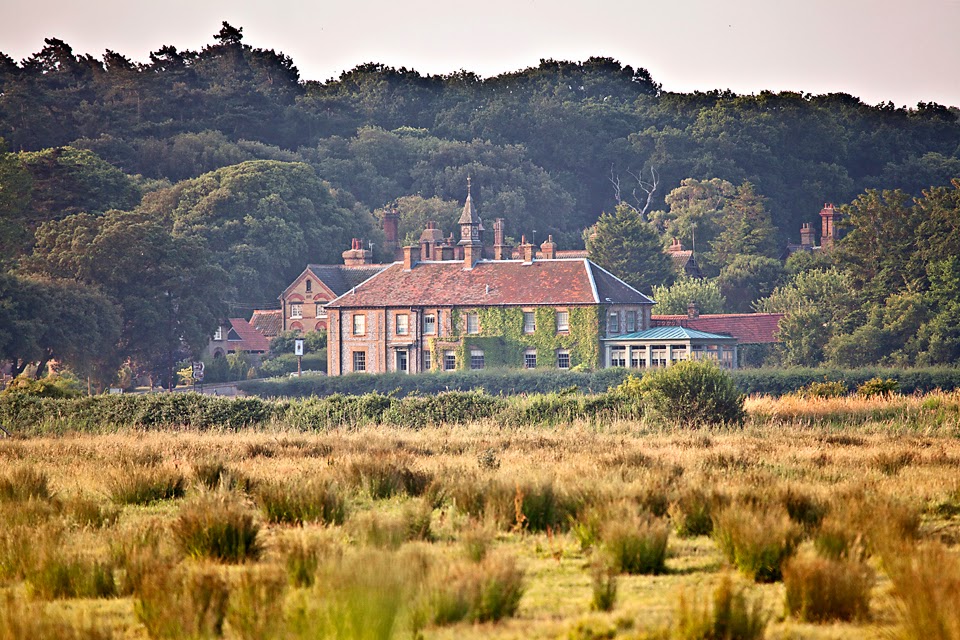 No 52 Sea Holly Holkham