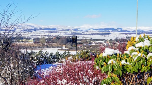 One Strathview B&B