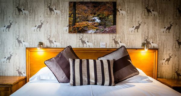 Orchard Lodge
