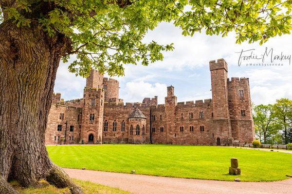 Peckforton Castle