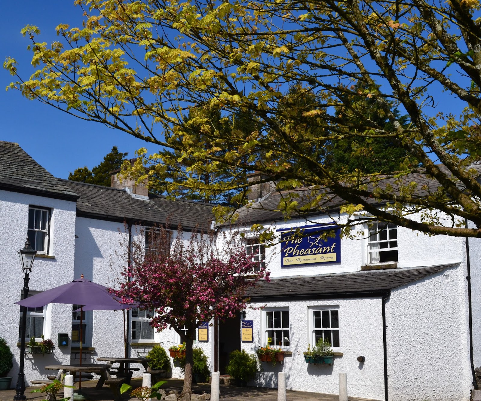 Pheasant Inn