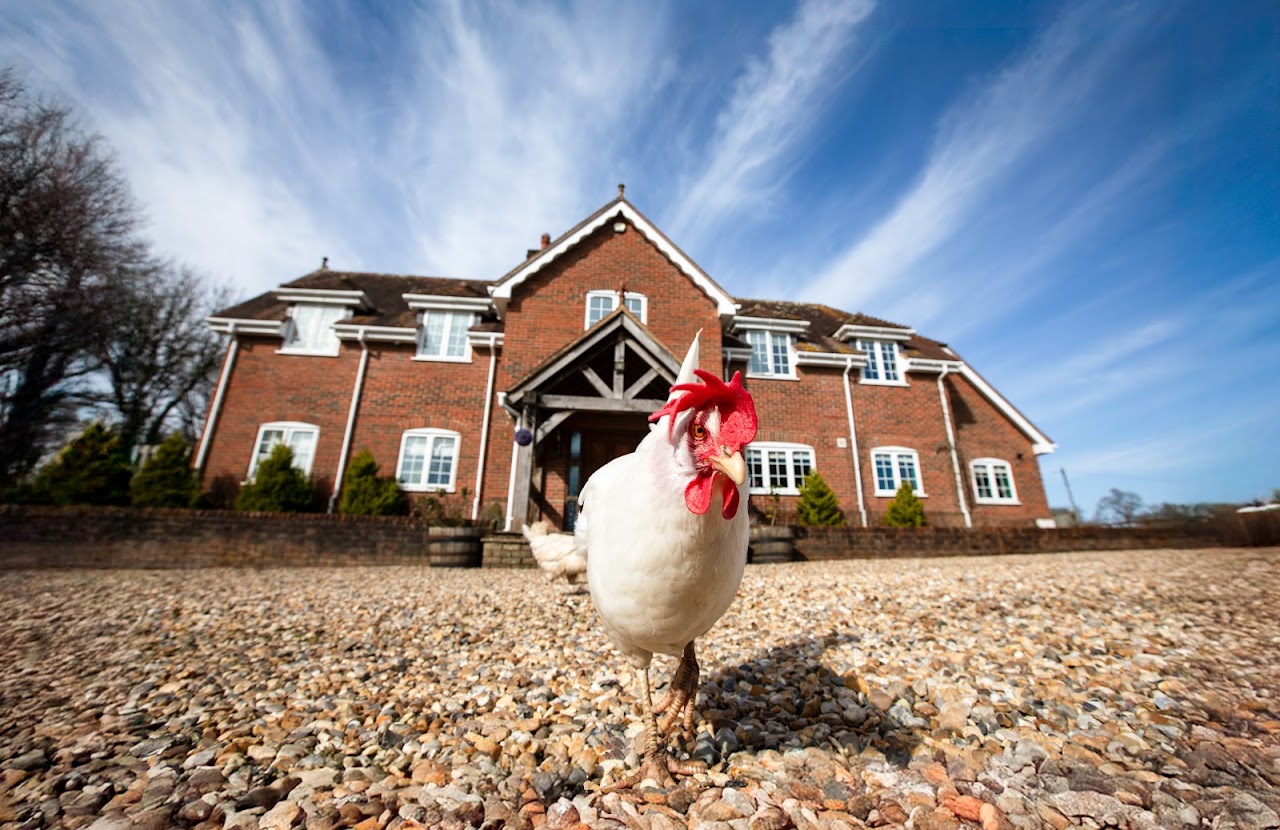 Ranvilles Farm House