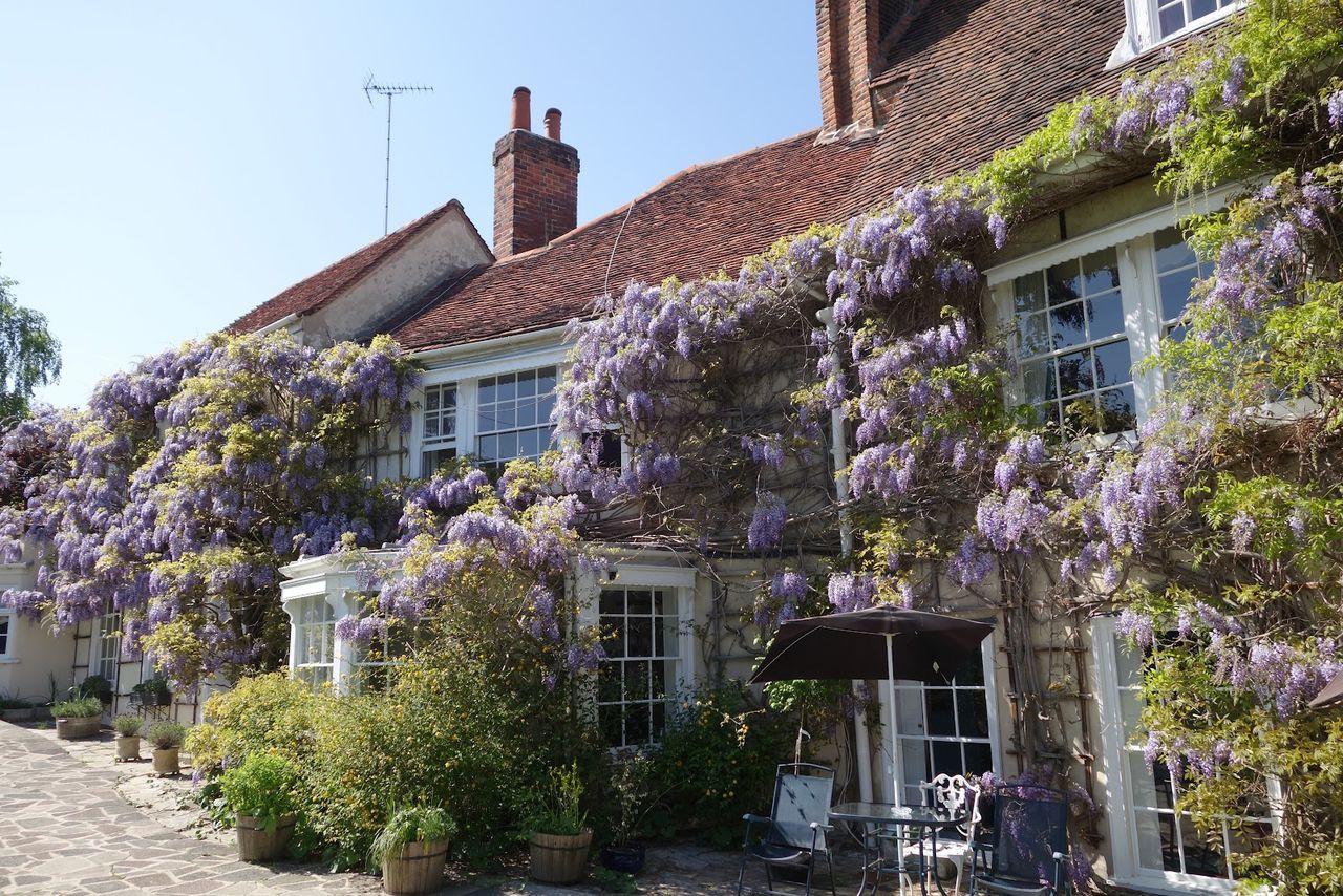 Rothmans B&B