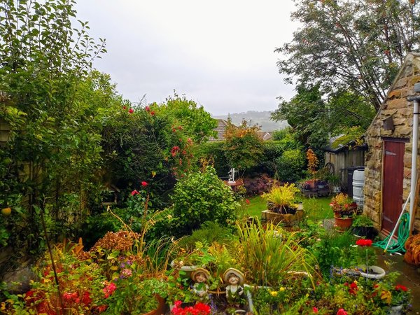 Rowan Tree House B&B