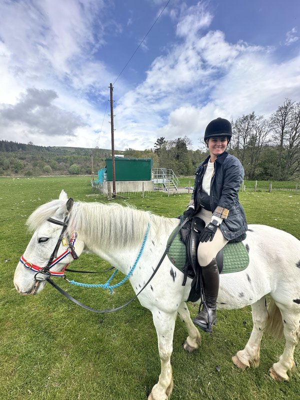 Scottish Equestrian B&B