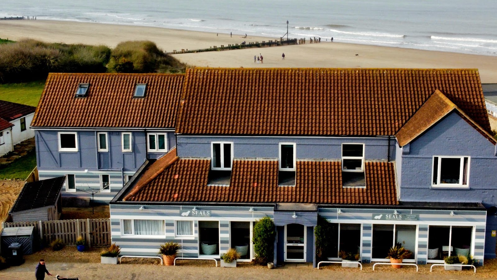 Seals Bacton