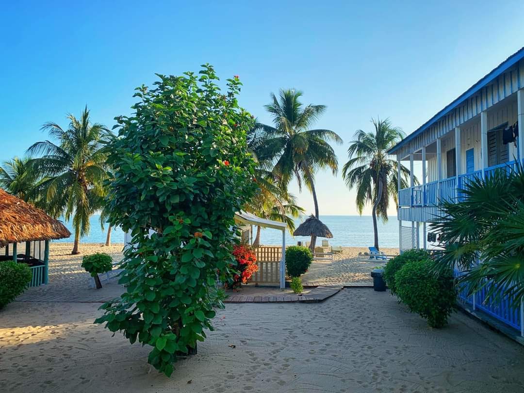 Seaspray Rooms