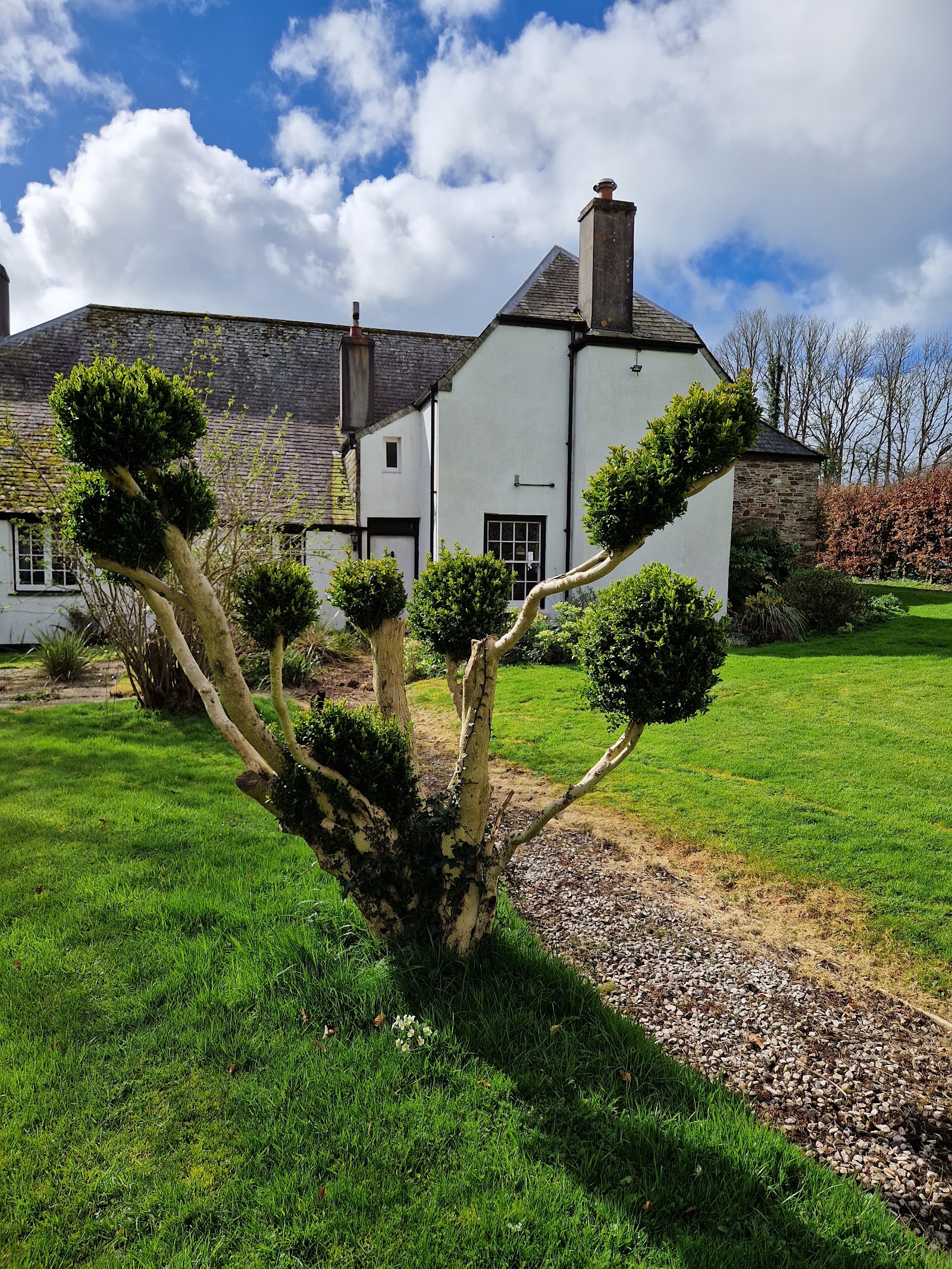Sheviock Barton Bed & Breakfast