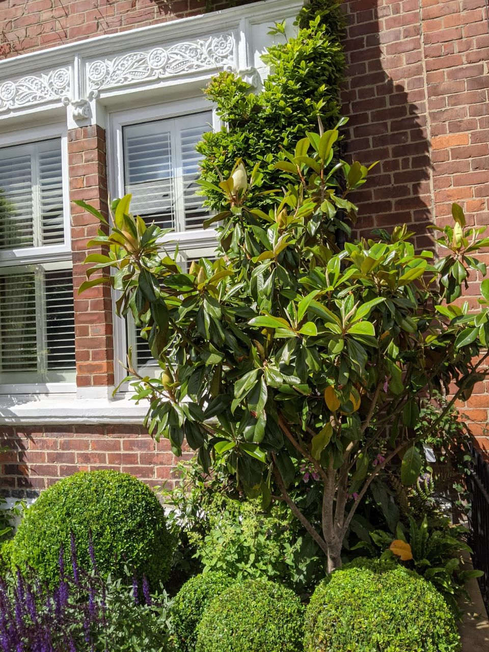 Sidney Grove B&B