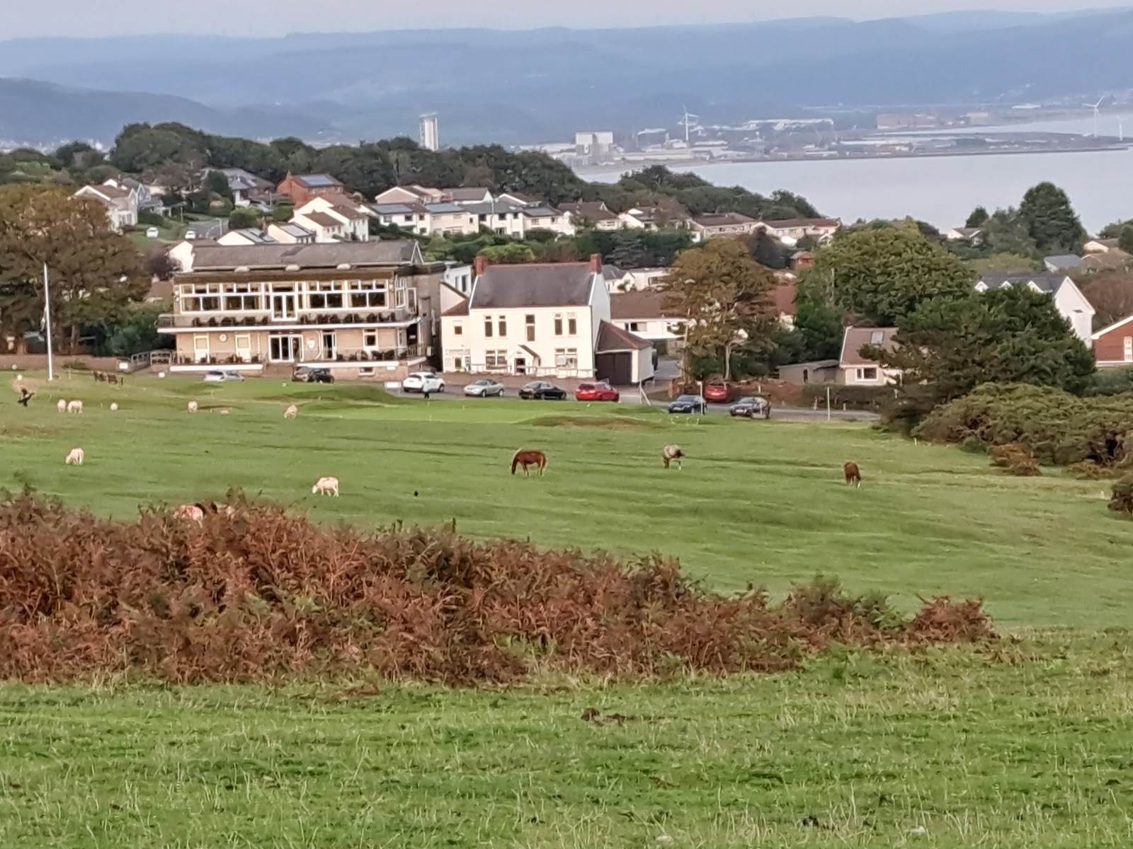 Somerfield Lodge
