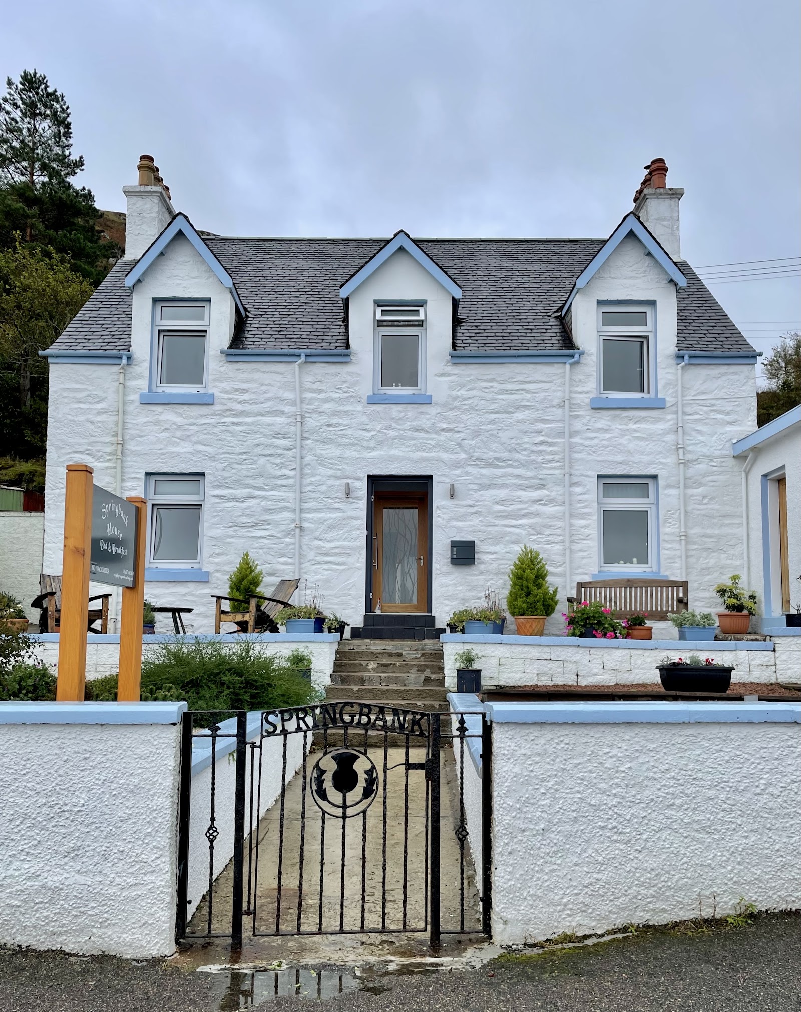 Springbank