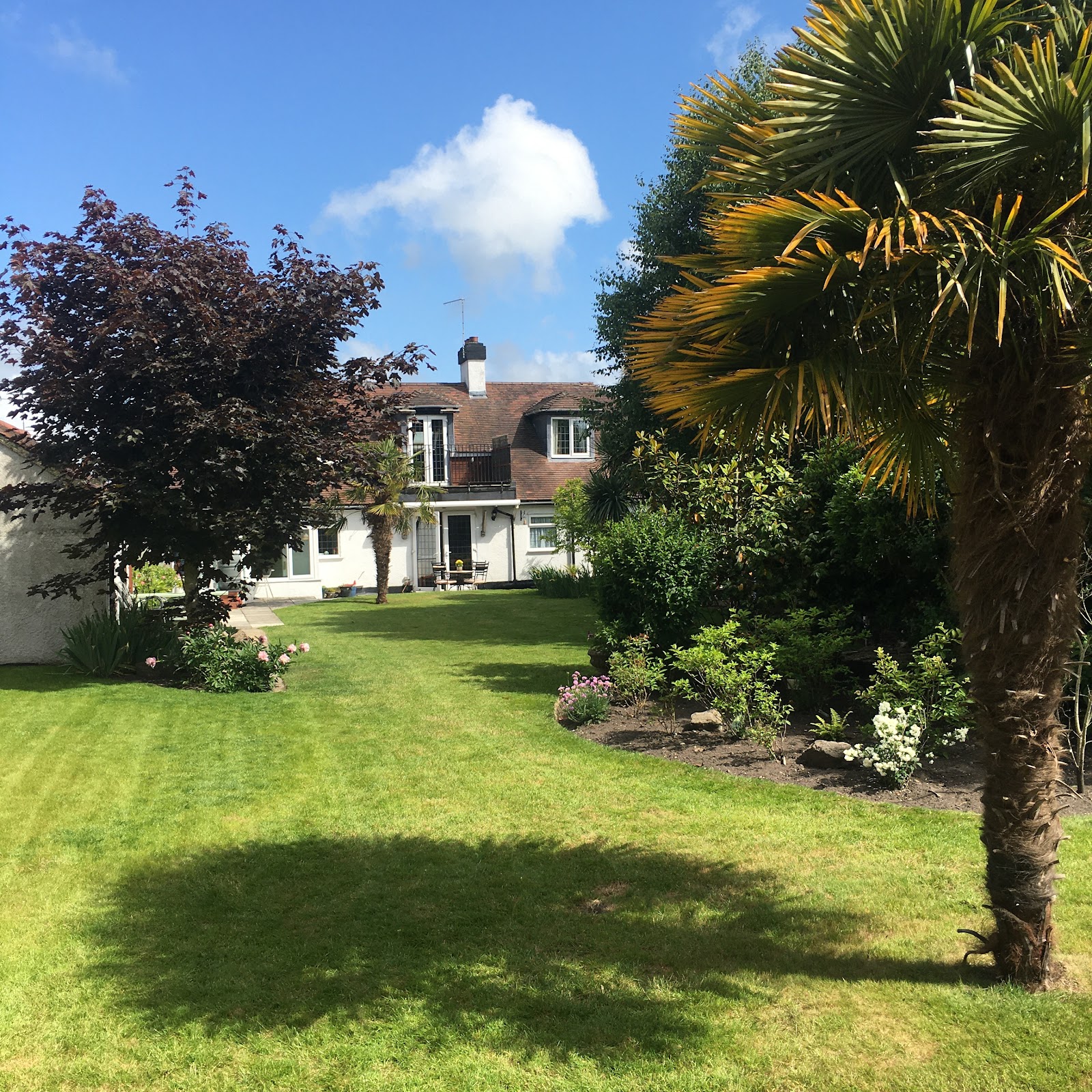 Spurwing Guest House