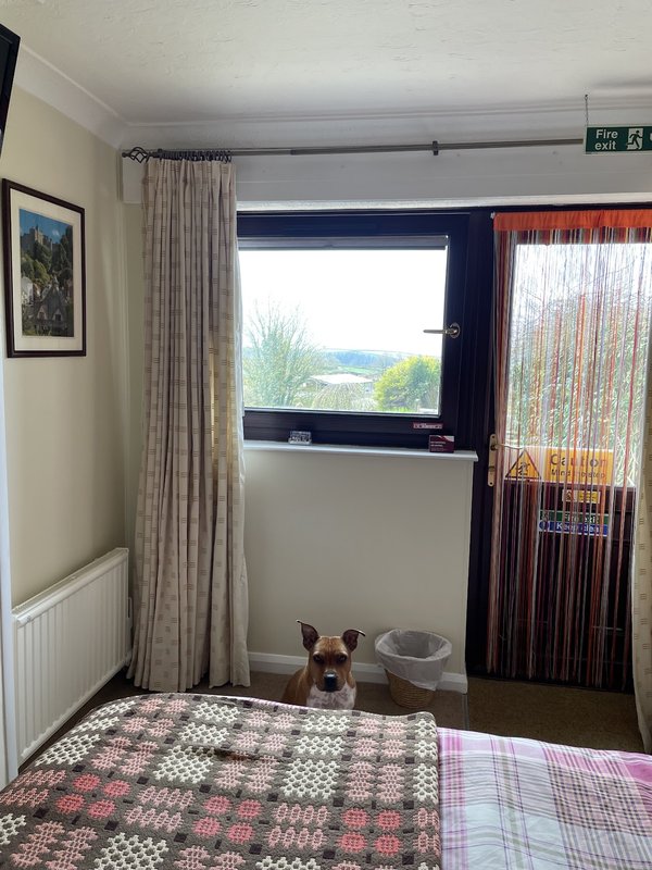 Stoke House Bed and Breakfast