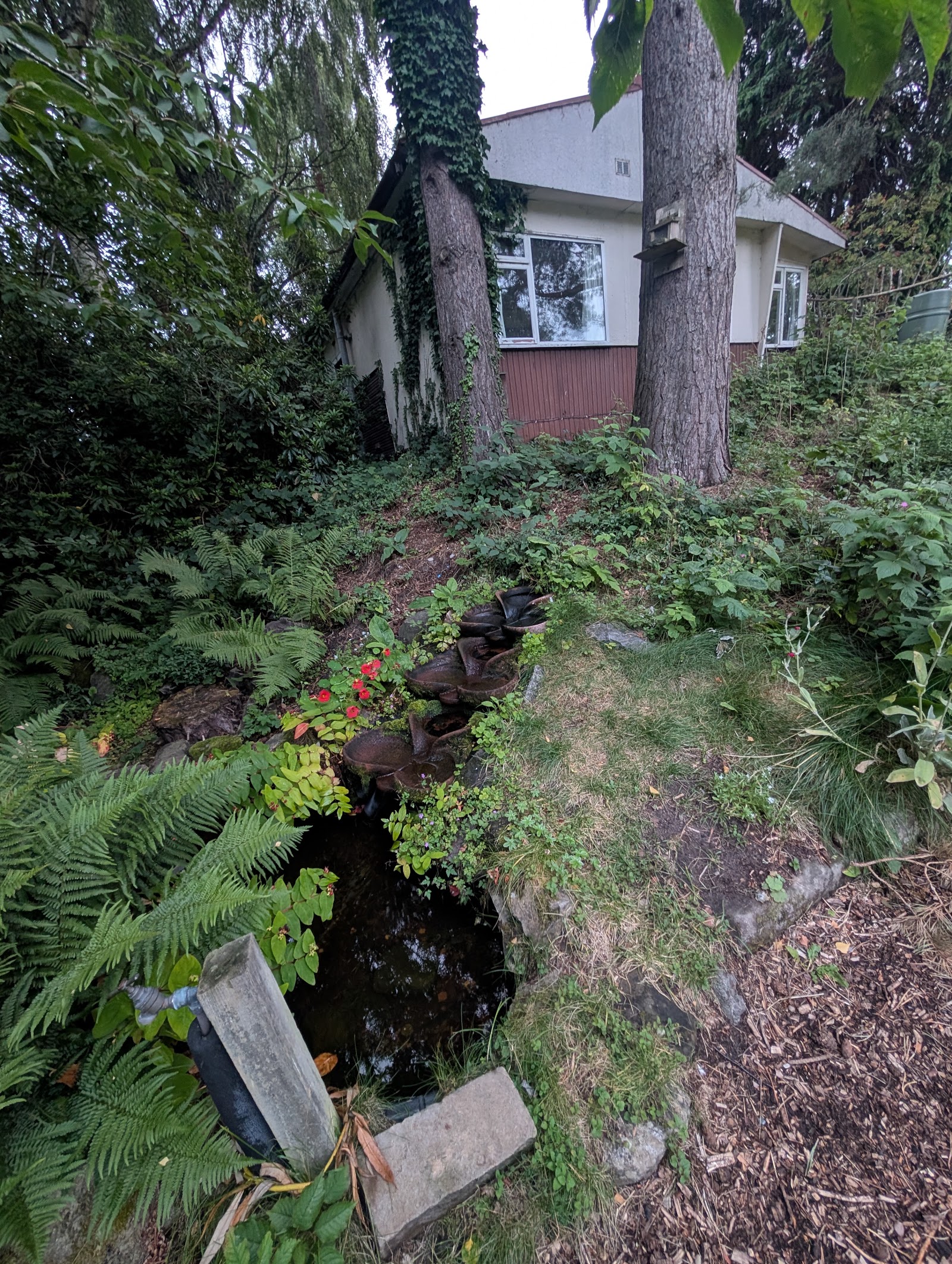 Sunflower Bed & Breakfast