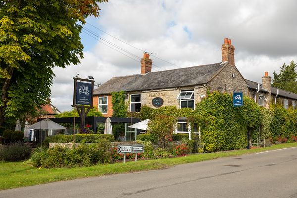 The Blue Boar