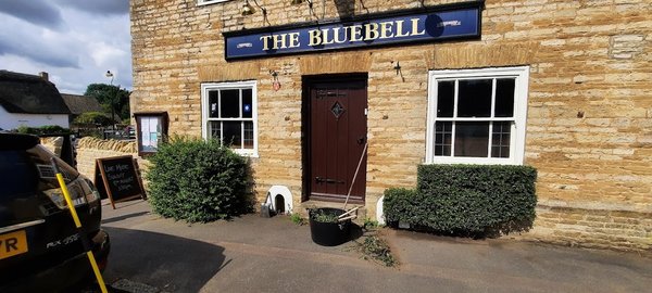 The Bluebell