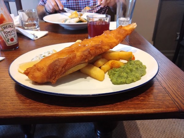 The Chilterns Fox