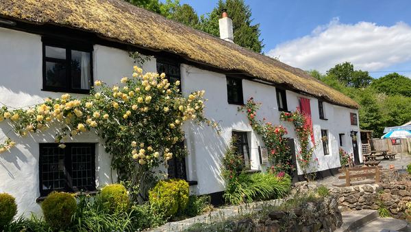 The Cridford Inn