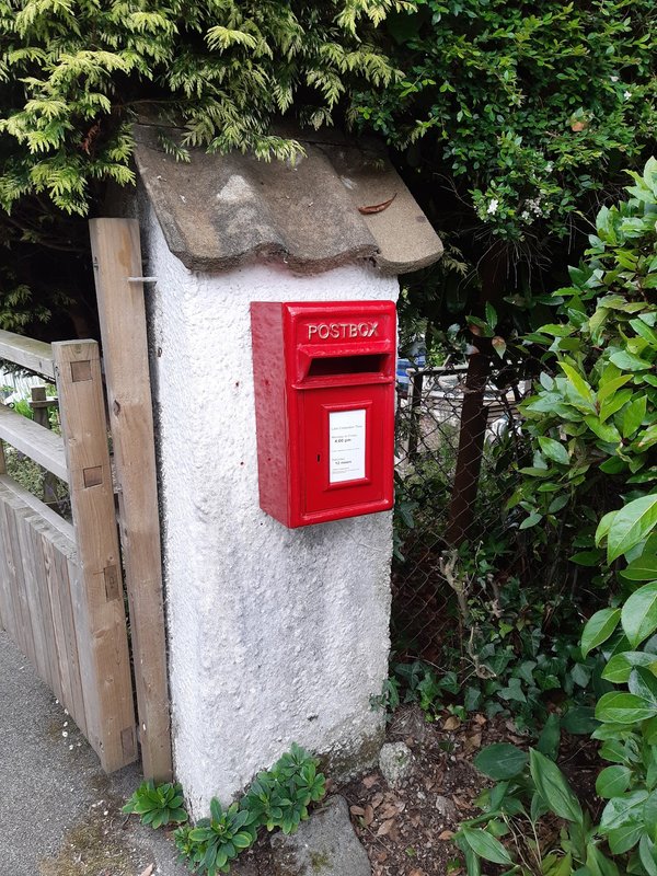 The Dog House Penryn
