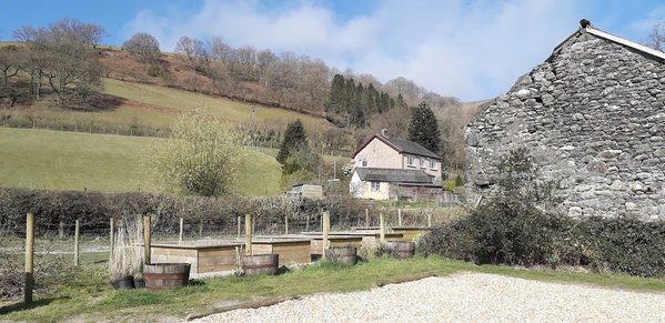 The Firecat Country House B&B