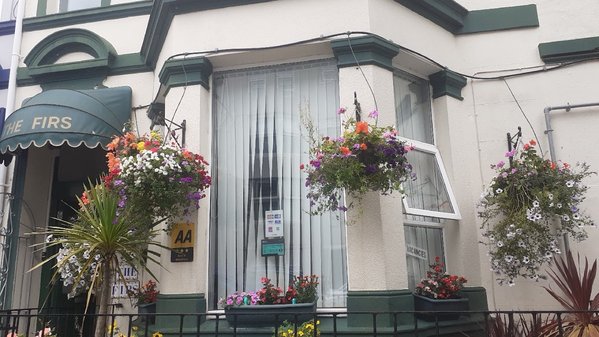 The Firs Bed and Breakfast