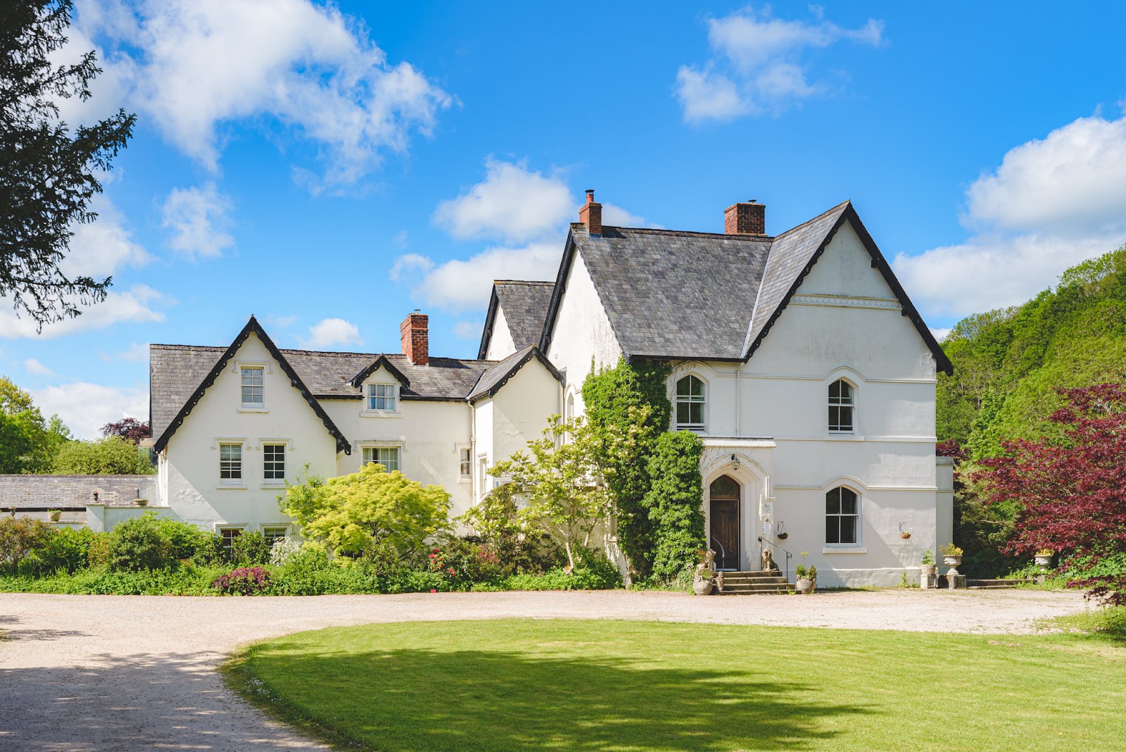 The Forest Country House B&B