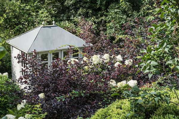 The Garden Bed and Breakfast