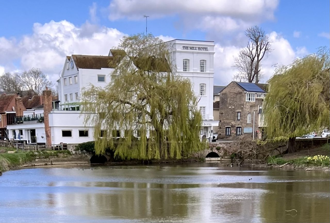 The George