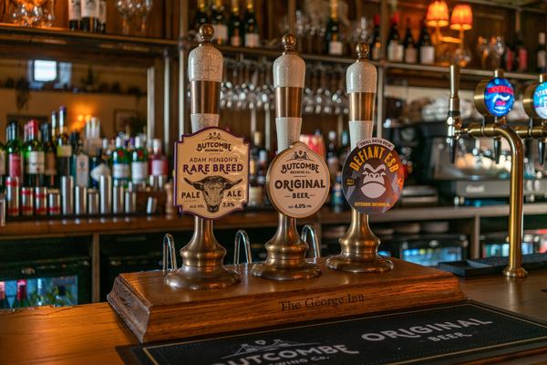 The George Inn and The Plaine