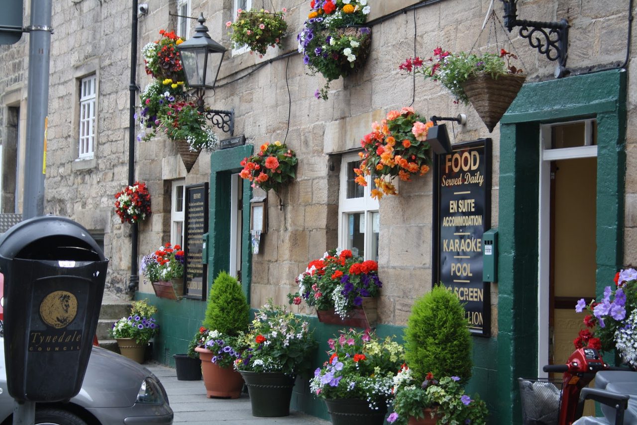 The Golden Lion
