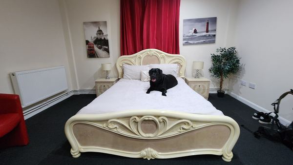 The Goodlife Guesthouse