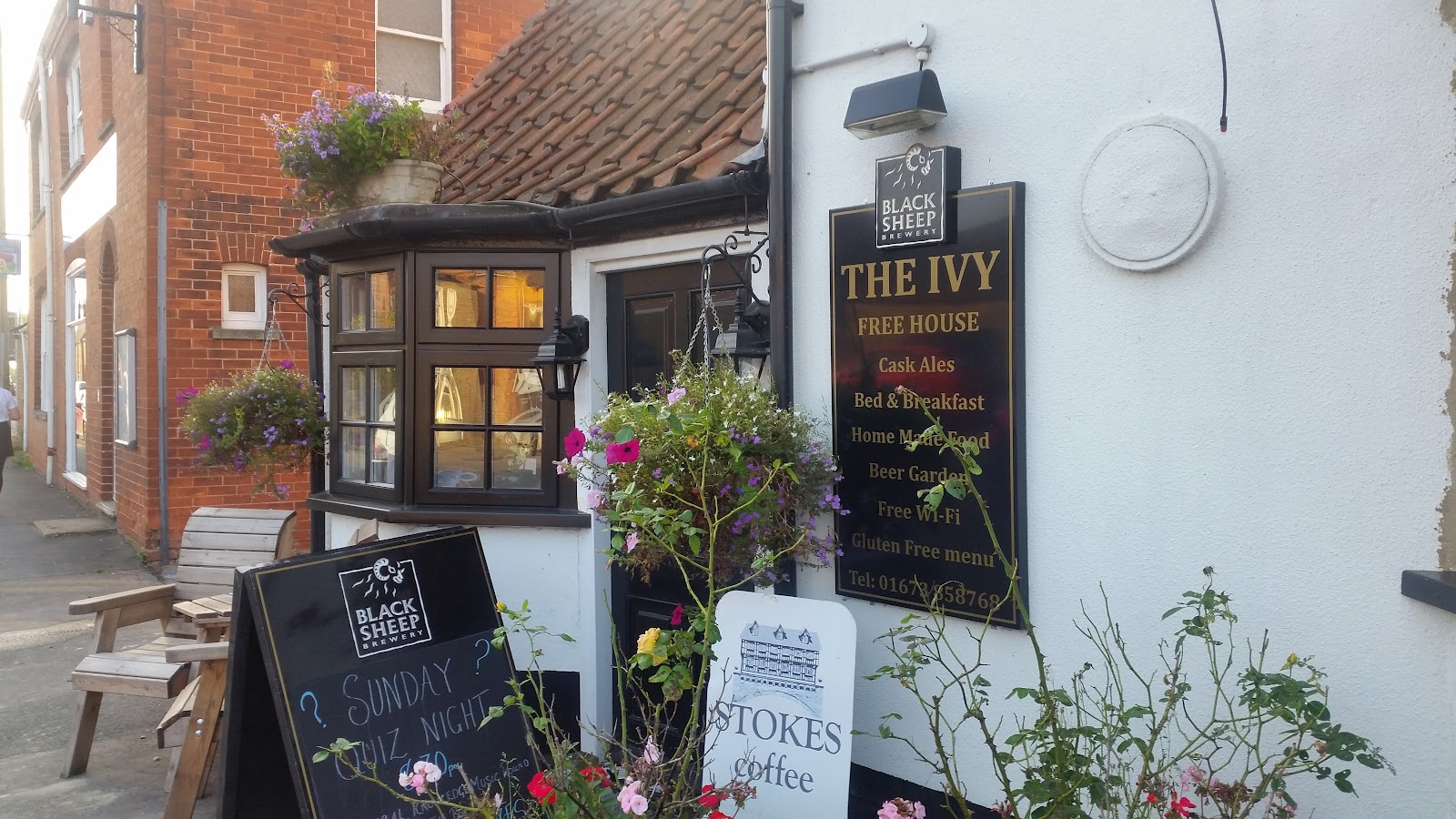 The Ivy
