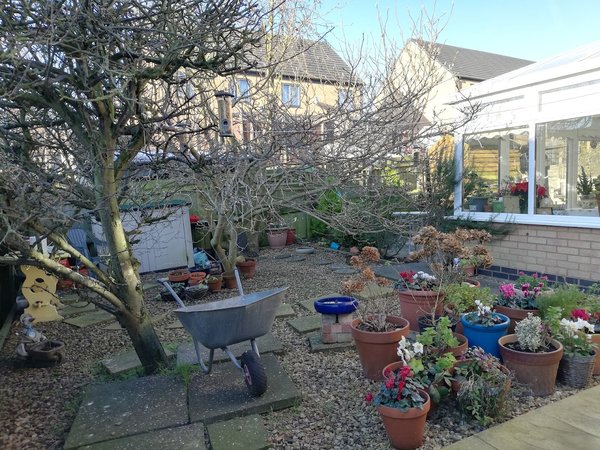 The Little Annexe