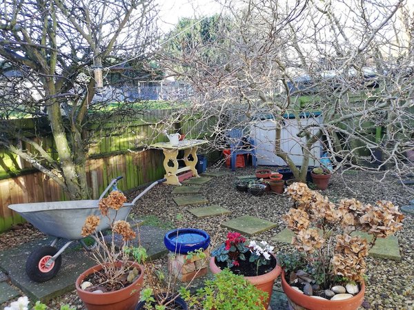 The Little Annexe