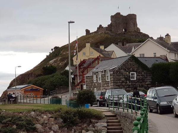 The Moelwyn Hotel & Restaurant