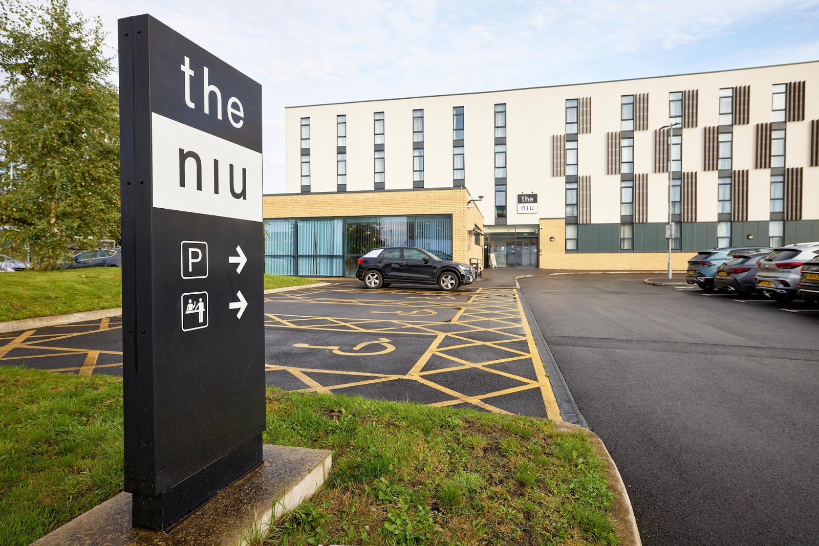 the niu Loom